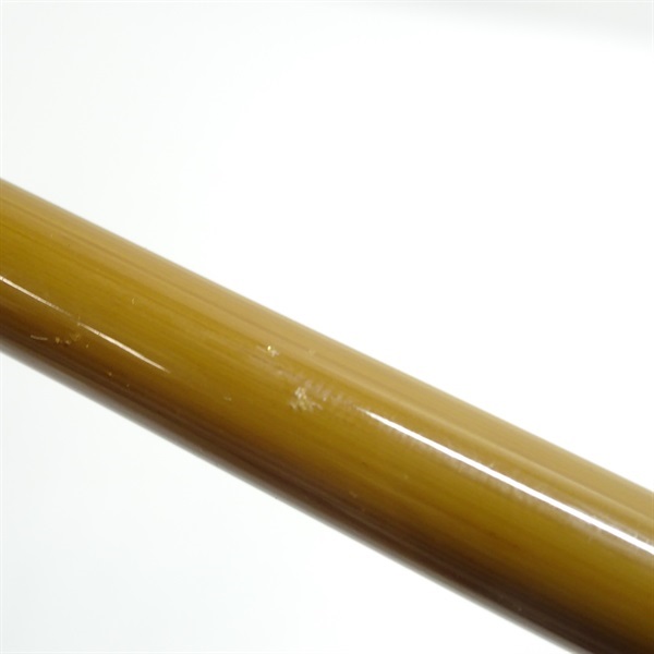 普天元 大我十三